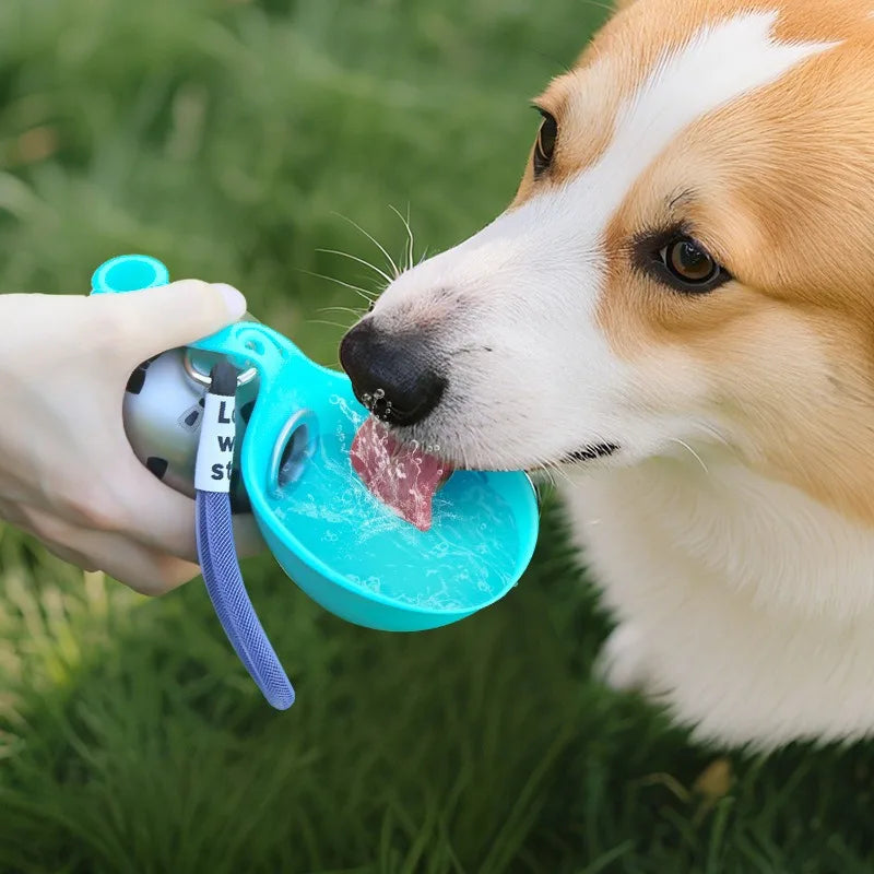 PocketPup Stainless Bottle